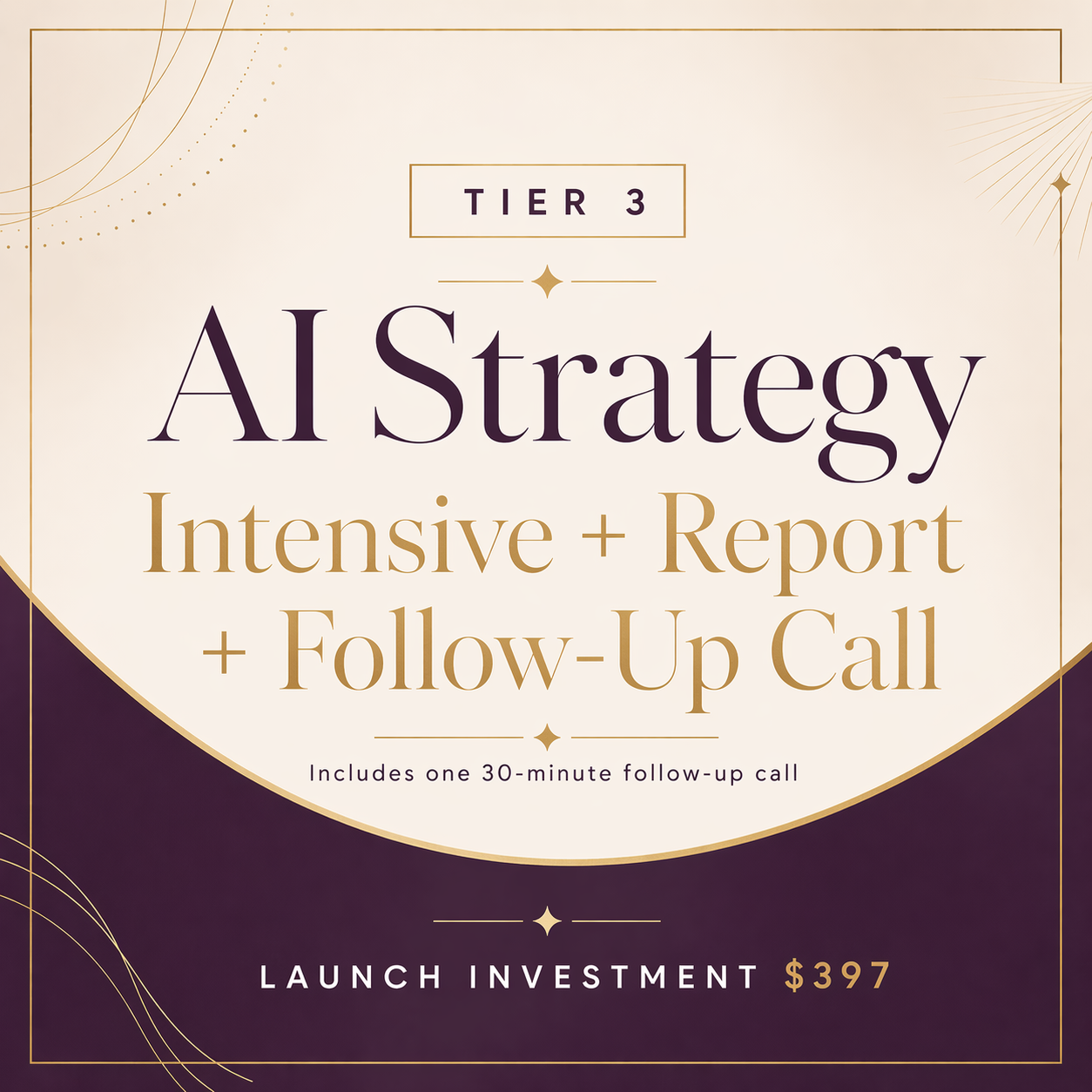 Tier 3 - AI Strategy Intensive + Custom Report + 30-Minute Follow-Up Call
